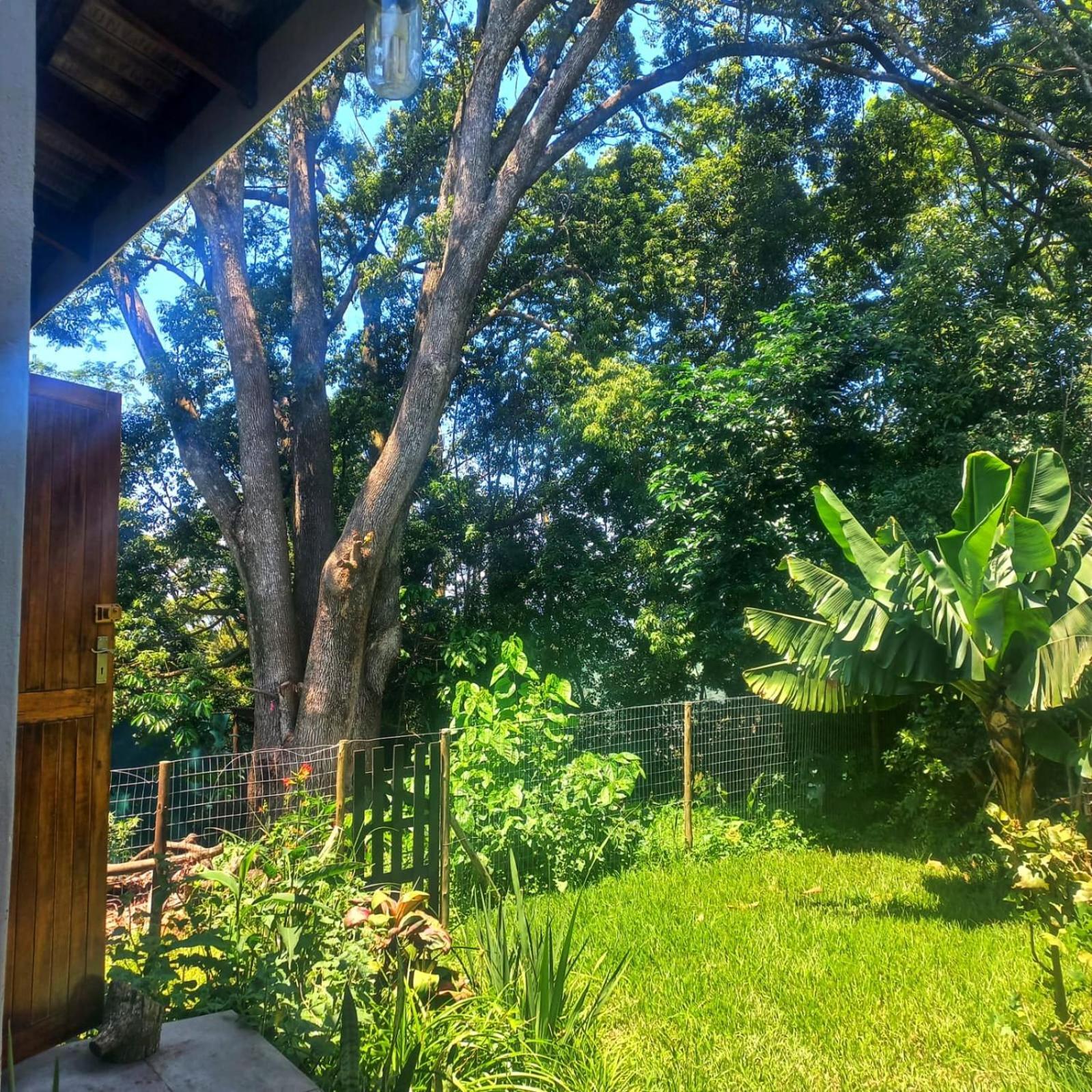 Highview Lodge Gillitts Bagian luar foto