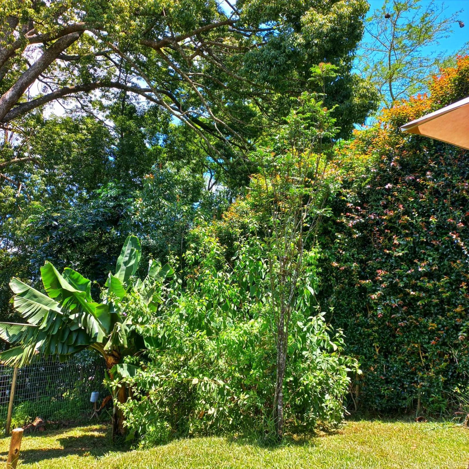 Highview Lodge Gillitts Bagian luar foto