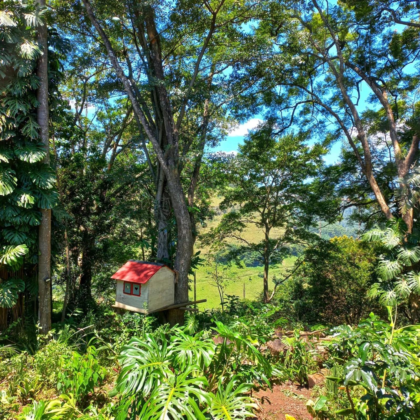 Highview Lodge Gillitts Bagian luar foto