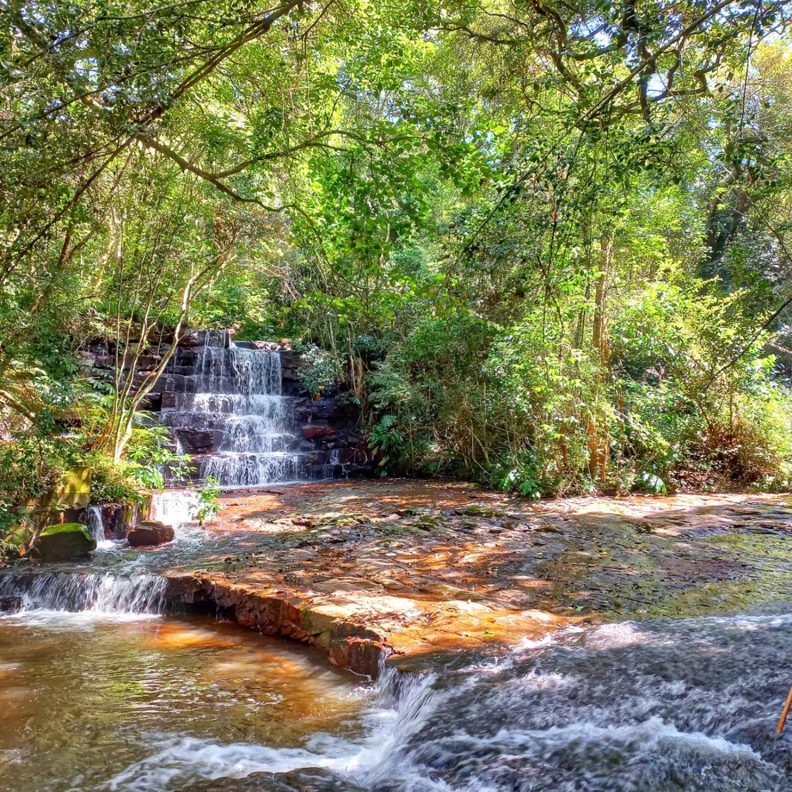Highview Lodge Gillitts Bagian luar foto
